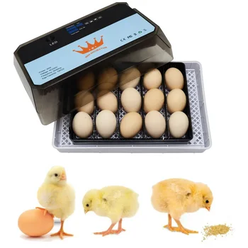 Инкубатор на Инкубатора Инкубатор на брудера птици Пиле 15 яйца на Птици Перепелиный Автоматичен Инкубатор на Инкубатора яйца, с точка на СИД 30~39.5℃ Точна