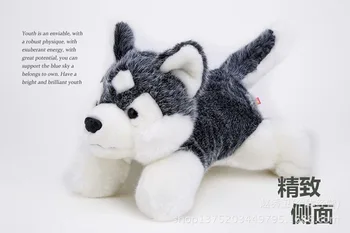  малък плюшен куче Хъски играчка с високо качество хъски легнало куче кукла сиво сладко куче играчка на около 25 см 0467